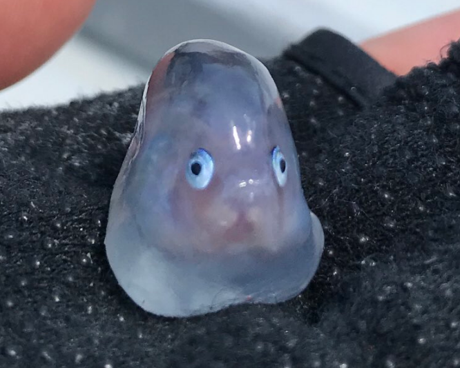 2019_05_09_be088c6cab154325843278313fa0077c.png 2019_05_09_be088c6cab154325843278313fa0077c.png