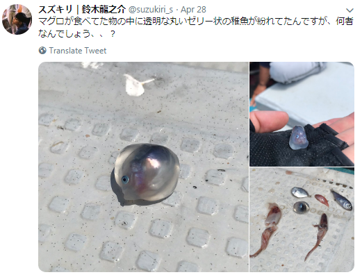 2019_05_09_f4df82bb2559451a9a8b5334a6362074.png 2019_05_09_f4df82bb2559451a9a8b5334a6362074.png