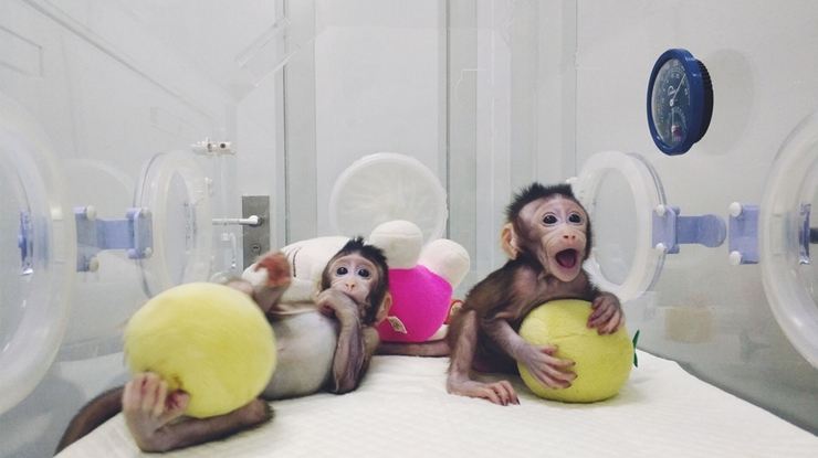 timg (13).jpeg timg (13).jpeg