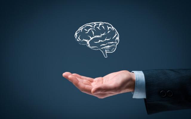 intellectual-property2.jpg intellectual-property2.jpg