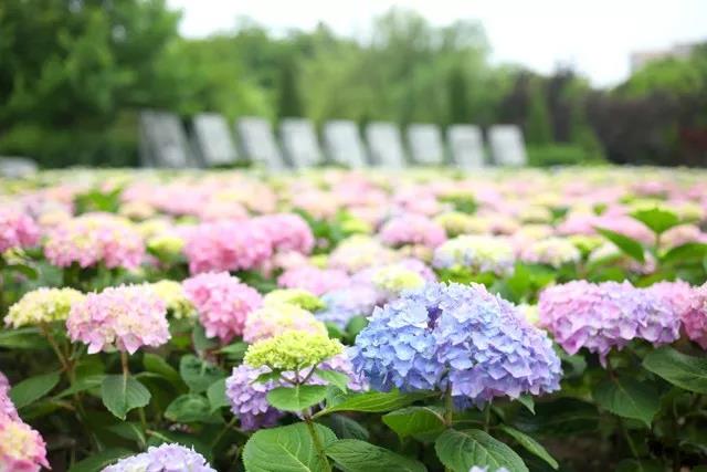 微信图片_20190529234806.jpg 微信图片_20190529234806.jpg