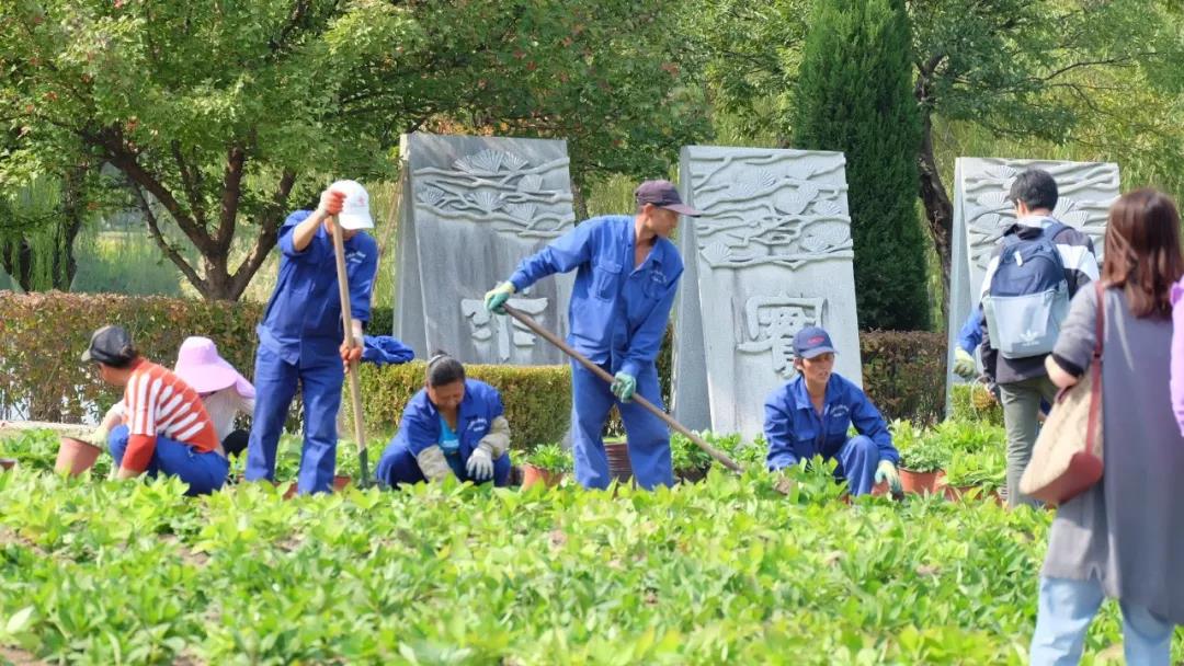 微信图片_20190530000145.jpg 微信图片_20190530000145.jpg