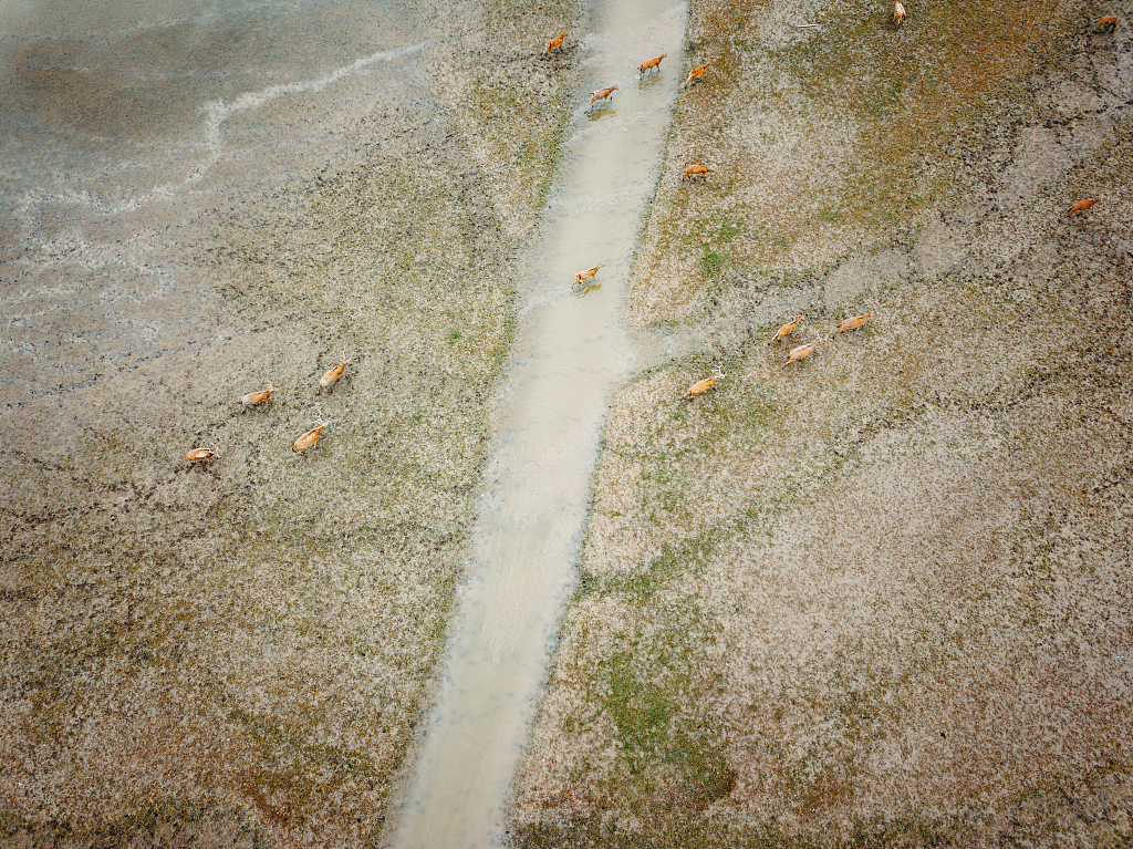 VCG211163828001.jpg VCG211163828001.jpg