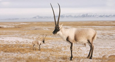 30712_p26_b.jpg 30712_p26_b.jpg