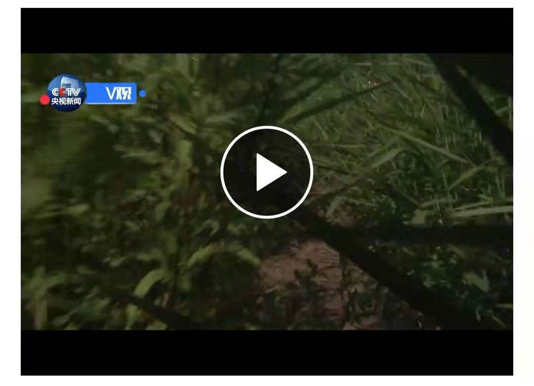 1932400692.jpg 1932400692.jpg