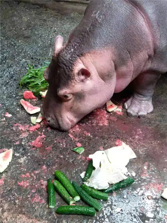 河马微信图片_20190722100055.jpg 河马微信图片_20190722100055.jpg