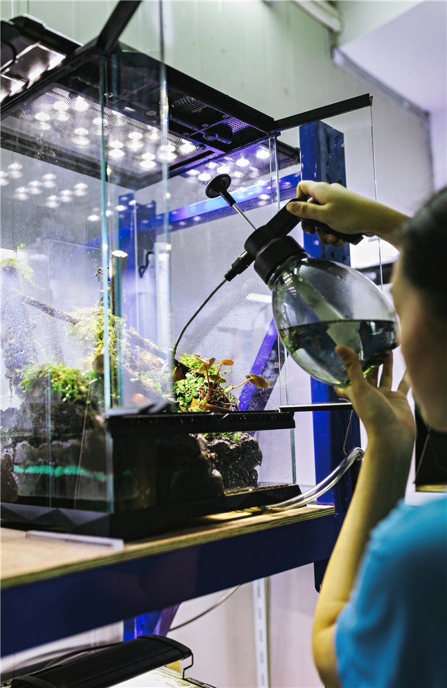 两栖动物20190720-byC1_055.jpg 两栖动物20190720-byC1_055.jpg