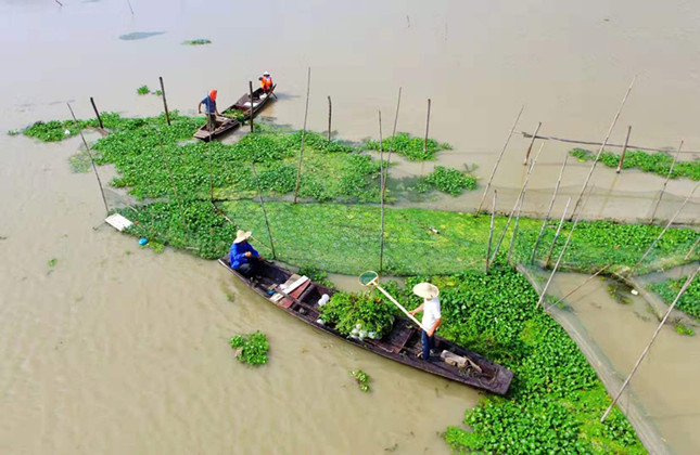 内一87a1d9f67a2a_副本.jpg 内一87a1d9f67a2a_副本.jpg