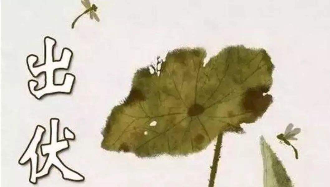 微信图片_20190821115155.jpg 微信图片_20190821115155.jpg