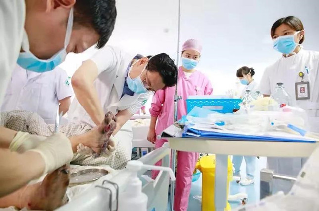 内_副本.jpg 内_副本.jpg