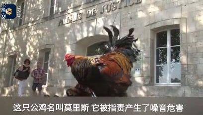 0123937aa8894f7488b99a1f03e8c8a8.jpeg 0123937aa8894f7488b99a1f03e8c8a8.jpeg