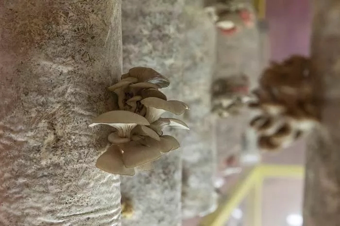 640_wx_fmt=jpeg&tp=webp&wxfrom=5&wx_lazy=1&wx_co=1.webp (4).jpg 640_wx_fmt=jpeg&tp=webp&wxfrom=5&wx_lazy=1&wx_co=1.webp (4).jpg