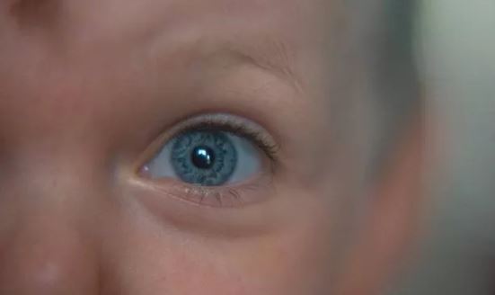 蓝眼睛.JPG