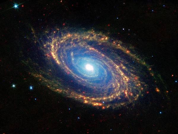 timg (57).jpg timg (57).jpg