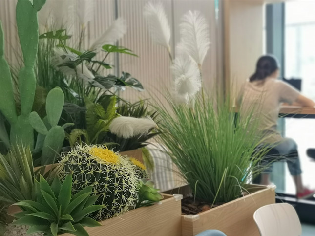 IMG_20190914_122256_副本.jpg IMG_20190914_122256_副本.jpg