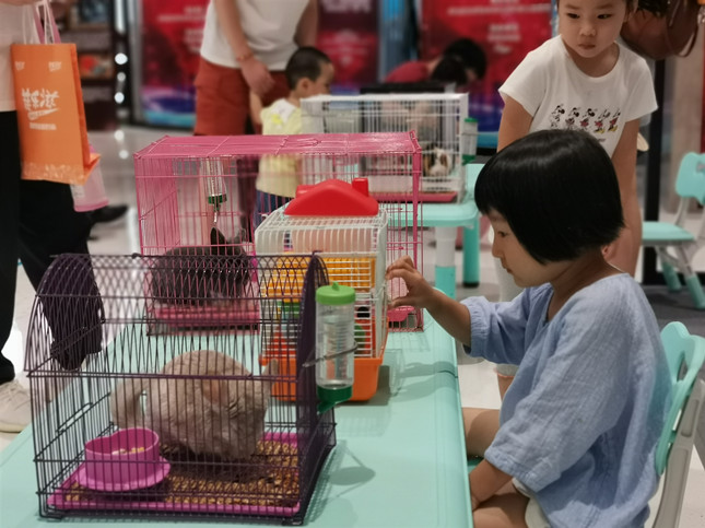 IMG_20190914_121913_副本.jpg IMG_20190914_121913_副本.jpg