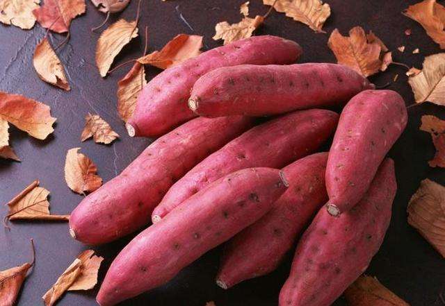 timg (2).jpg timg (2).jpg