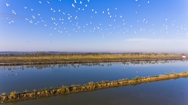 微信图片_20190925101351.jpg 微信图片_20190925101351.jpg