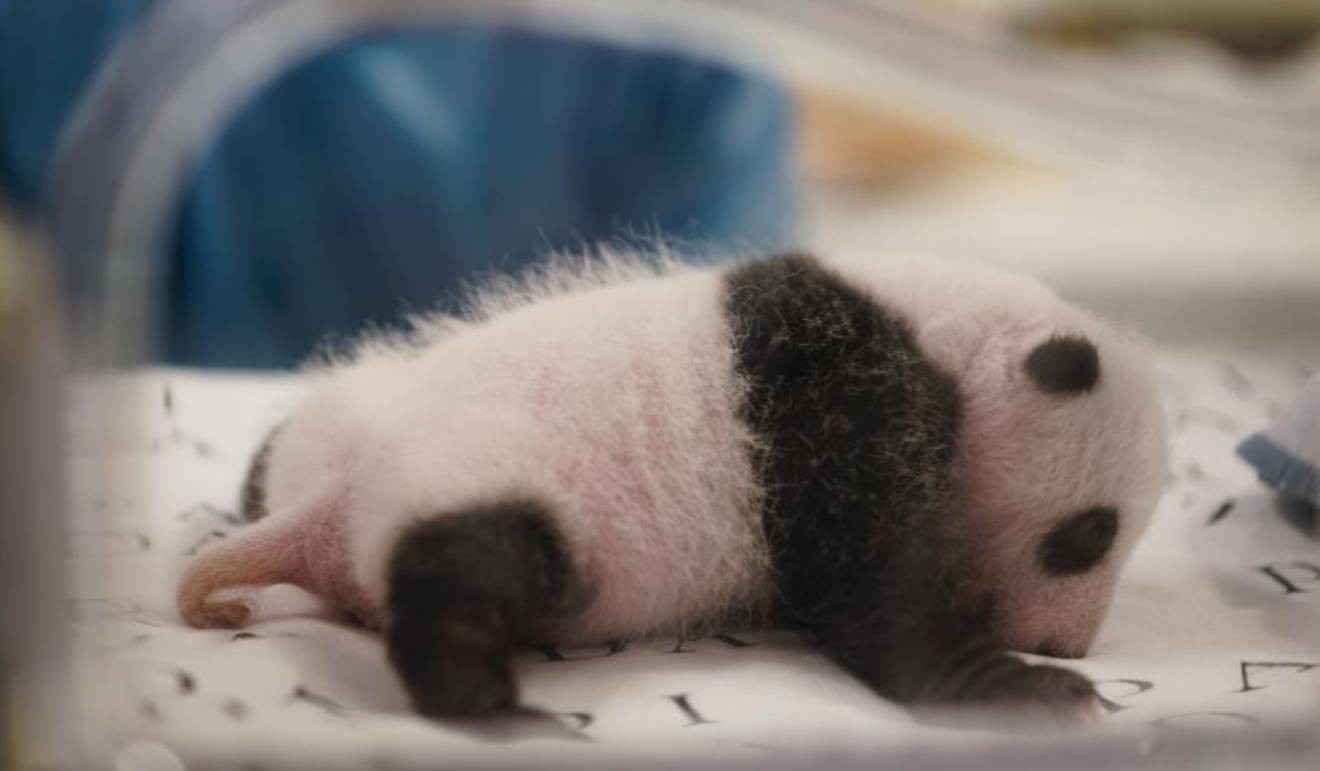 微信截图_20191003164136.png 微信截图_20191003164136.png