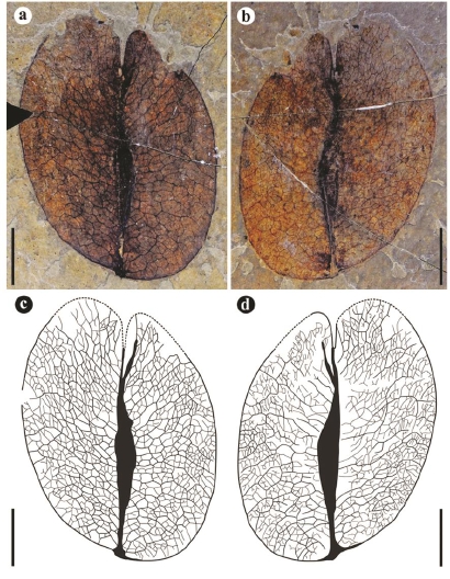 61006_p5.jpg 61006_p5.jpg