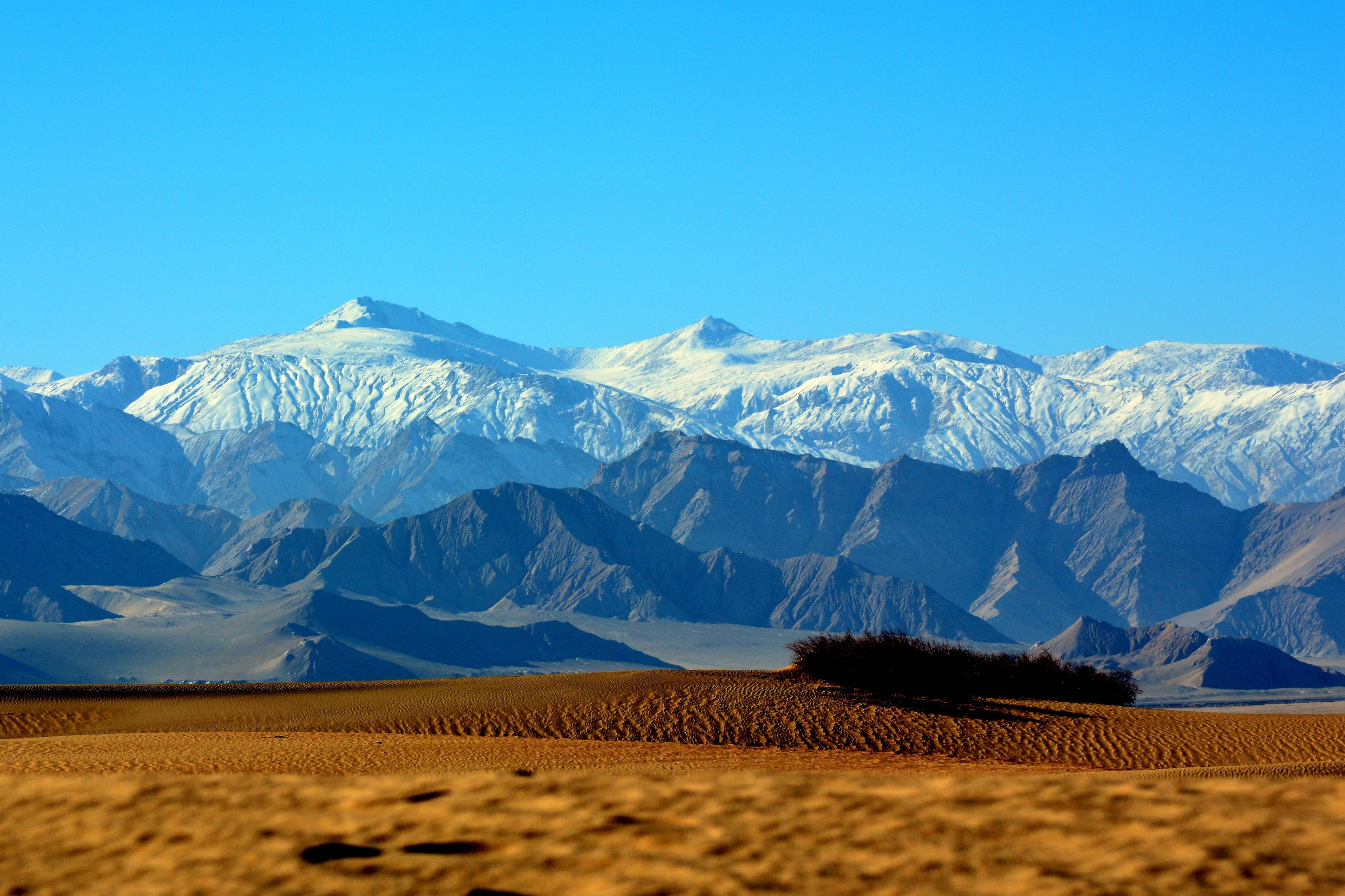 timg (5).jpg timg (5).jpg