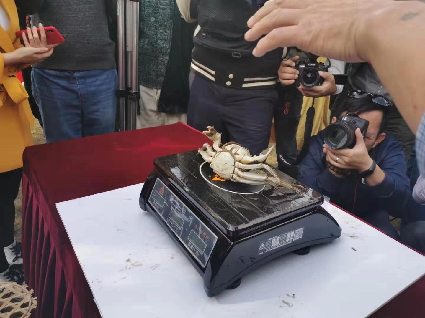 976005628.jpg 976005628.jpg