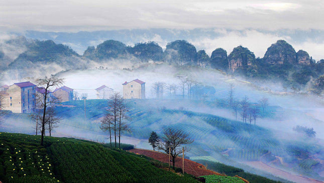 内4d64b978d5c8e279fa_副本.jpg 内4d64b978d5c8e279fa_副本.jpg