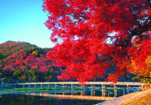 王士跃配图三.jpg 王士跃配图三.jpg