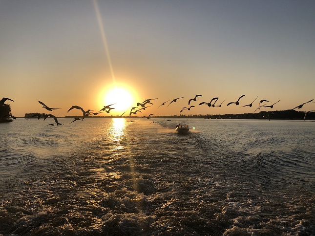 微信图片_20191021200130.jpg 微信图片_20191021200130.jpg