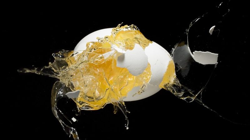 timg (1).jpg timg (1).jpg