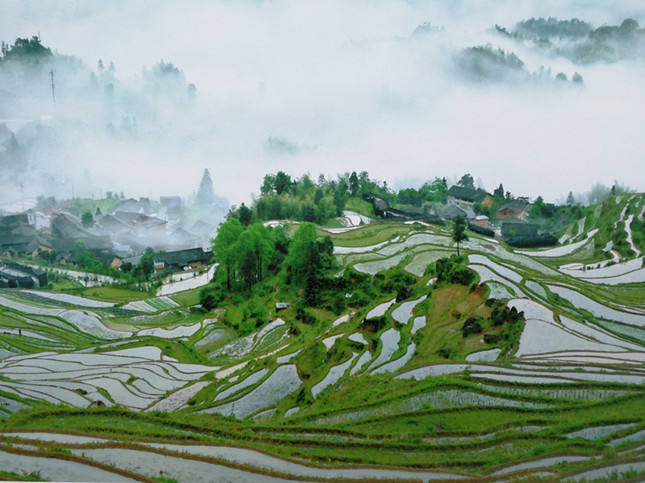 内9bb451e0056_副本.jpg 内9bb451e0056_副本.jpg