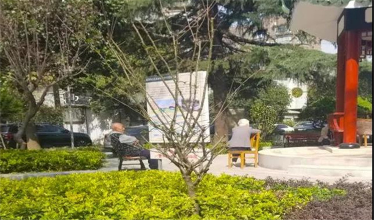 海绵改造改造后2.jpg 海绵改造改造后2.jpg