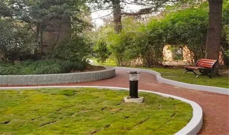 绿化改造后.jpg 绿化改造后.jpg