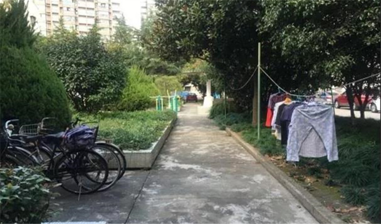 花园改造前.jpg 花园改造前.jpg