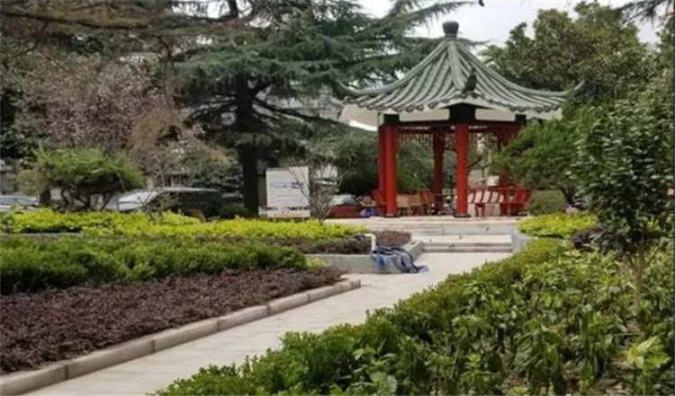 花园改造后.jpg 花园改造后.jpg