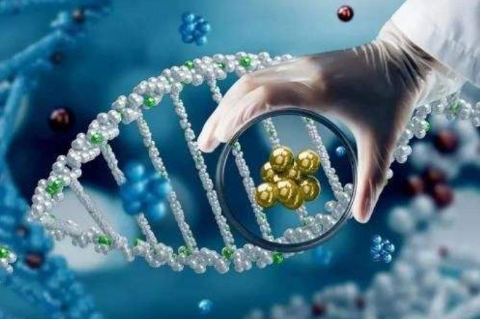 微信截图_20191116062326.png 微信截图_20191116062326.png