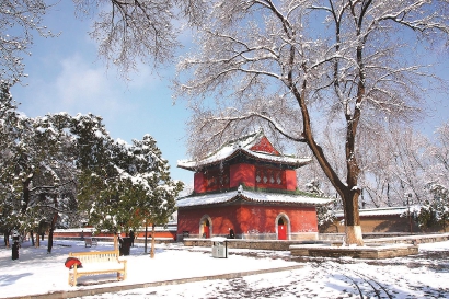 111120_p3.jpg