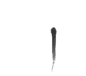 图片5.png 图片5.png