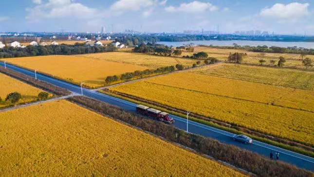 微信图片_20191130181846.jpg 微信图片_20191130181846.jpg