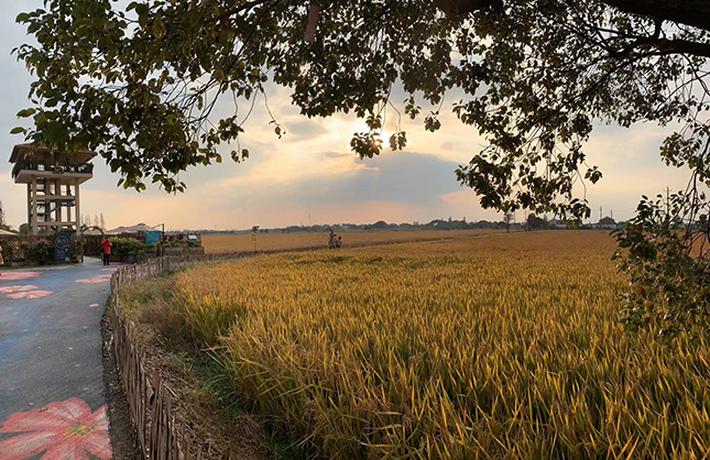 微信图片_20191130181854.jpg 微信图片_20191130181854.jpg