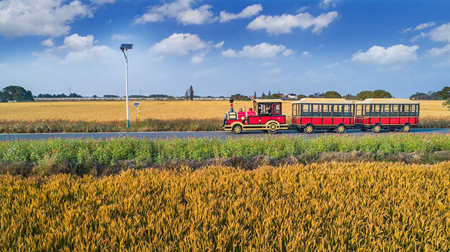 微信图片_20191130181923.jpg 微信图片_20191130181923.jpg