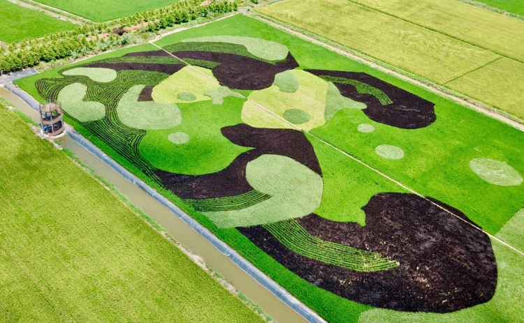 543933_w750.jpg 543933_w750.jpg