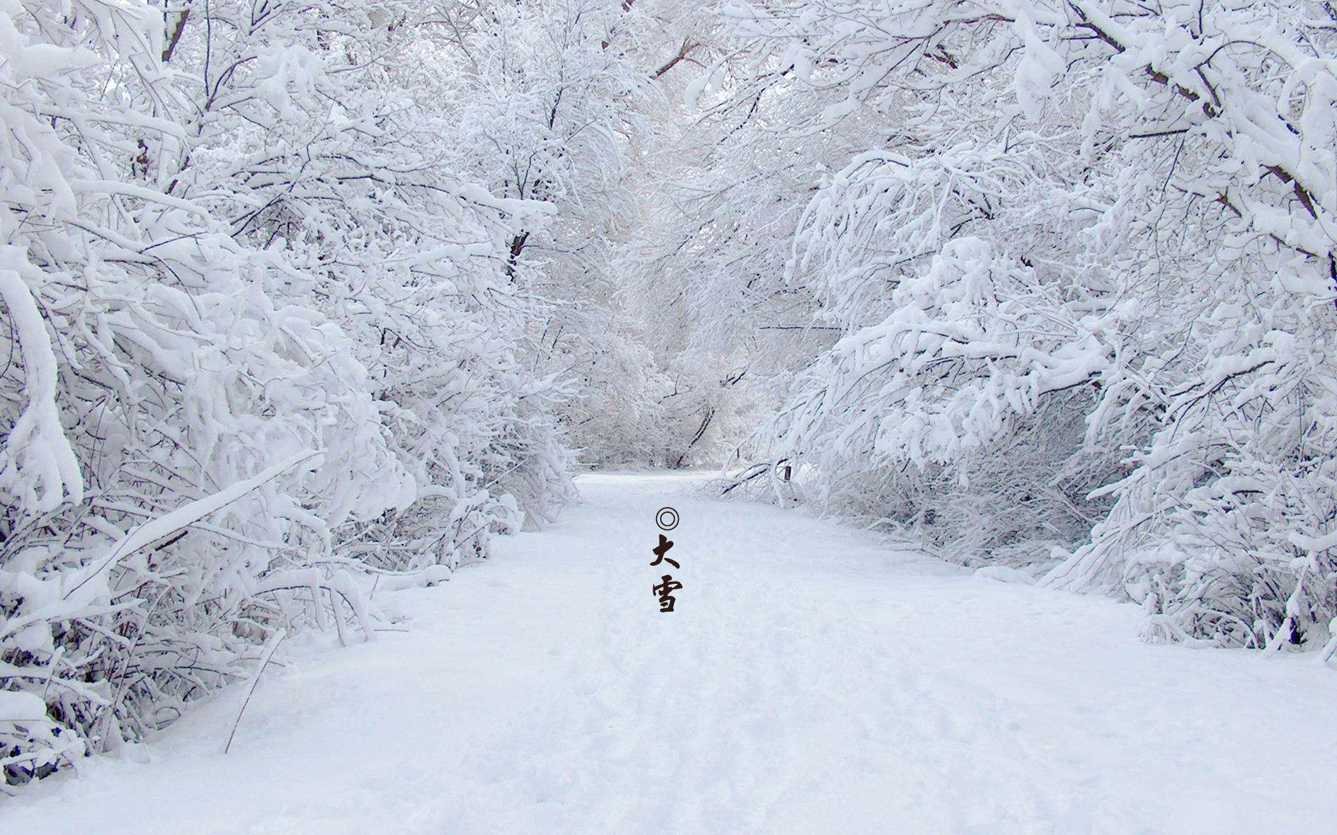 在大雪中做雪天使的女人 冬日 库存图片. 图片 包括有 子项, 人员, 快乐, 人们, 休闲, 衣物, 外套 - 164113949