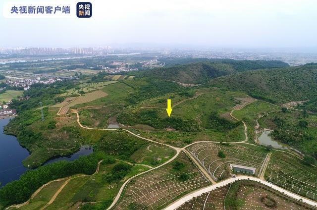 微信图片_20191207234442.jpg 微信图片_20191207234442.jpg