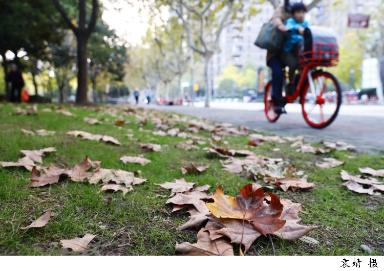 546402_w750.jpg 546402_w750.jpg