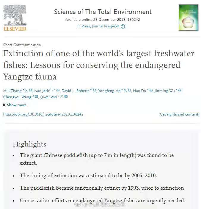 白鲟1.jpg 白鲟1.jpg