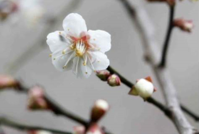 内7e3778355a86_副本.jpg 内7e3778355a86_副本.jpg