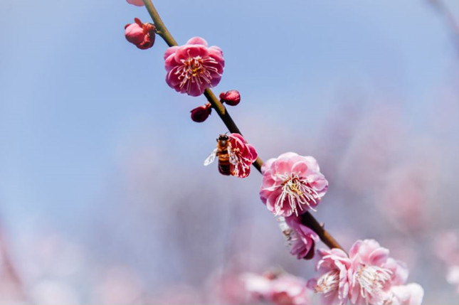 内579f5e2ae2_副本.jpg 内579f5e2ae2_副本.jpg