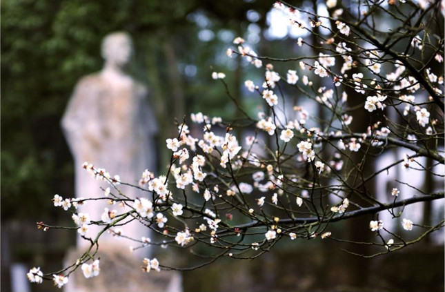 内ee82ab0333f8_副本.jpg 内ee82ab0333f8_副本.jpg