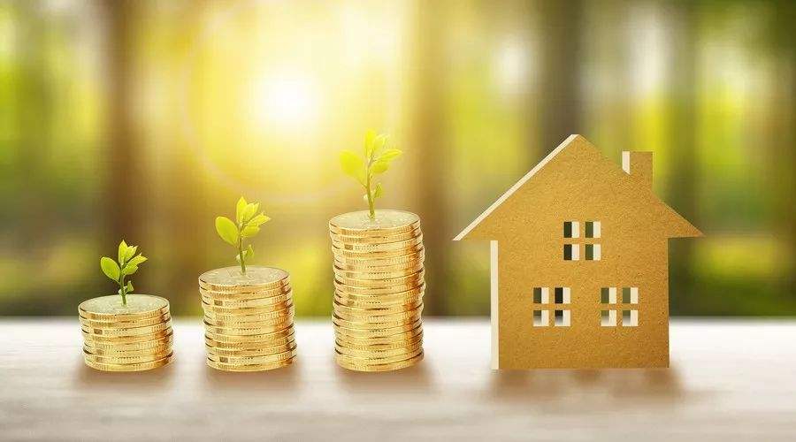 知识产权1.jpg 知识产权1.jpg